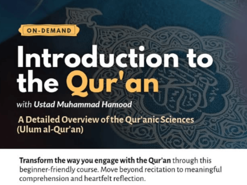 Rayyan Courses